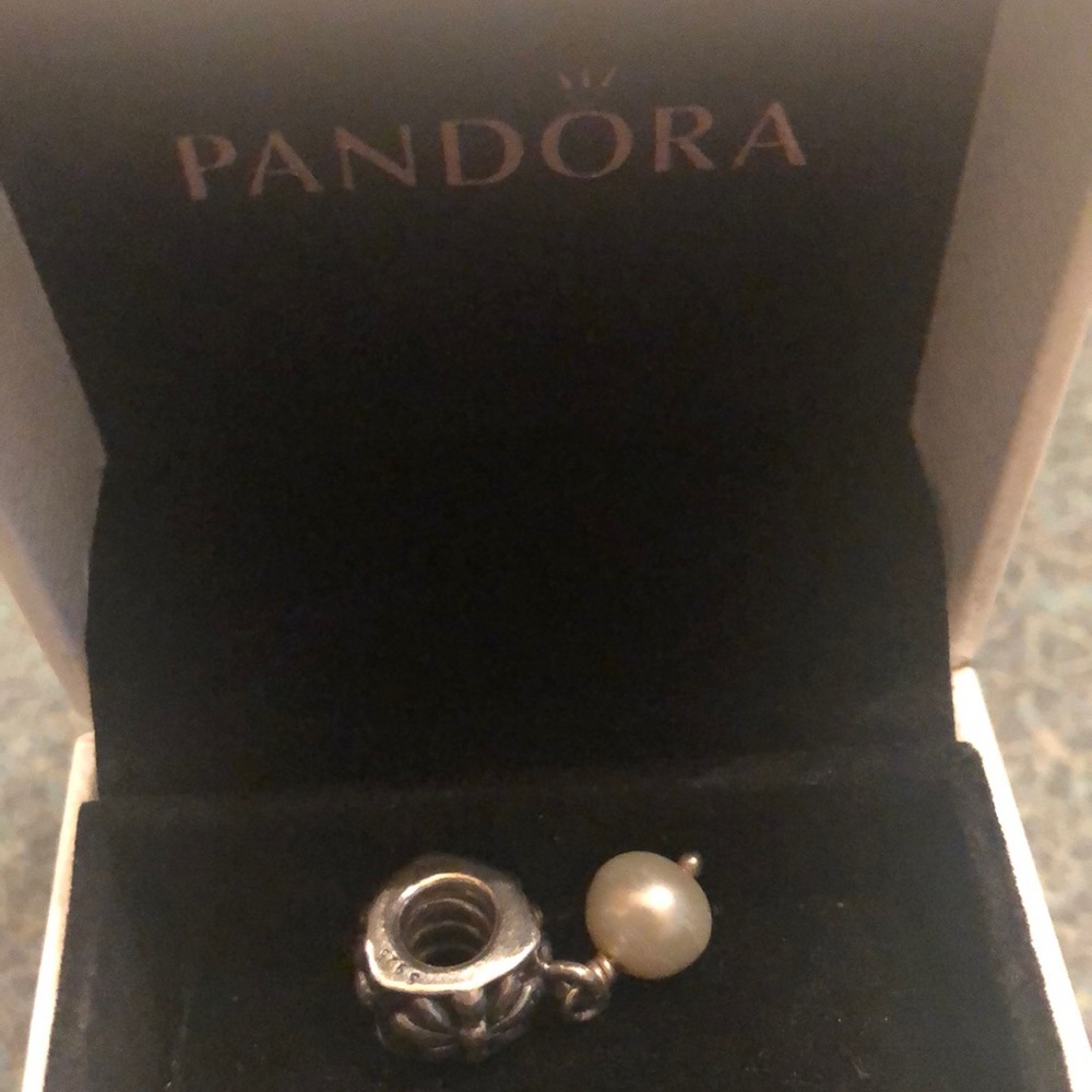 Authentic pandora charm